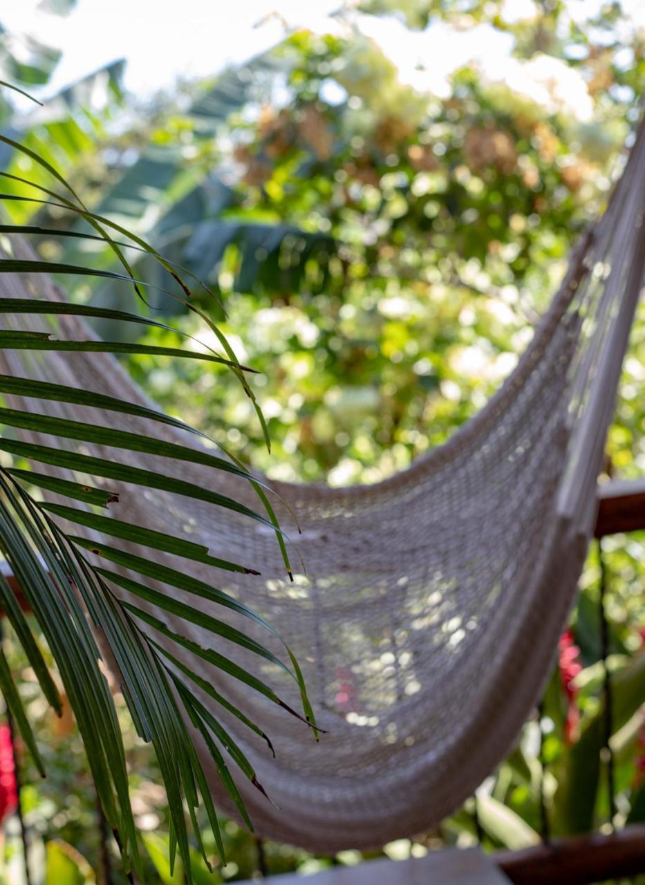 Villa Mango B&B Nosara Εξωτερικό φωτογραφία